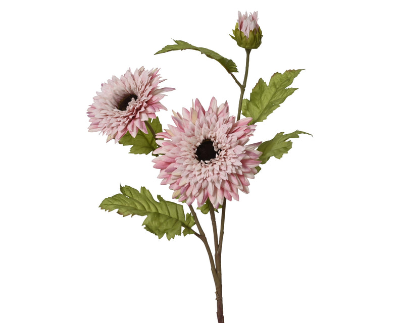 Spray stem sunflower