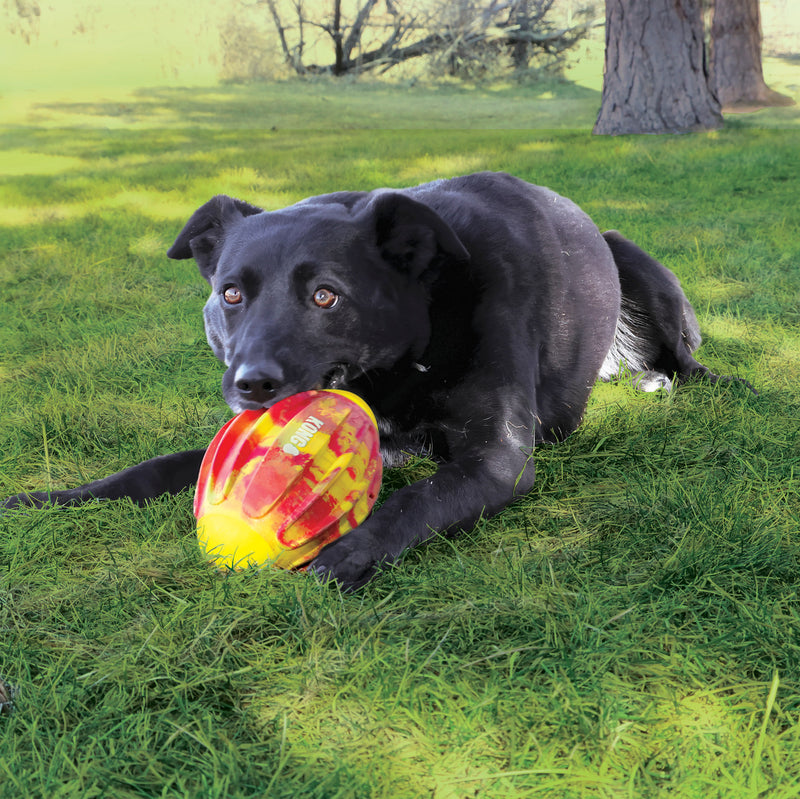 KONG Flexball Sport Football Medium – detail and use view 5