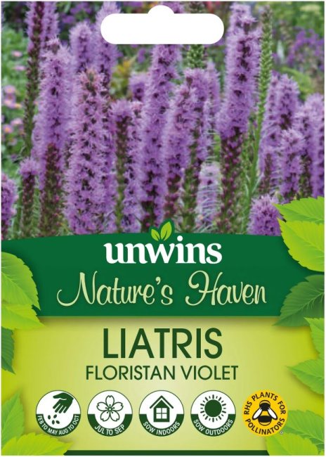 Natures Haven Liatris Floristan Violet