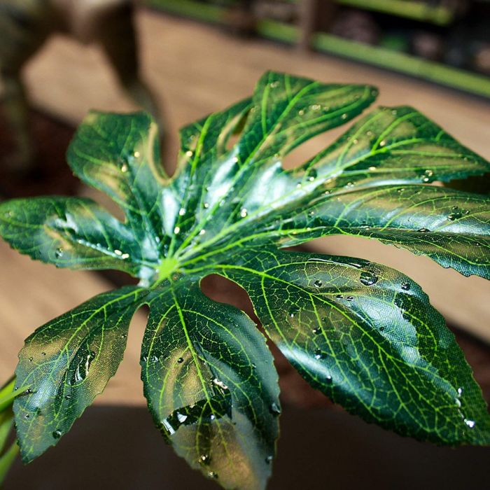 Komodo Jungle Canopy (42 Centimetres)