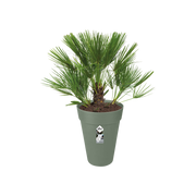 Elho Loft Urban Round High 35cm Pistachio Green – planted display