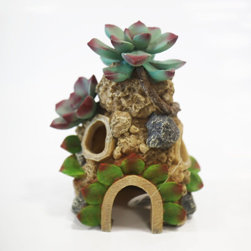 Betta Succulent House Aquarium Ornament – 14.5 × 11 × 17.5cm