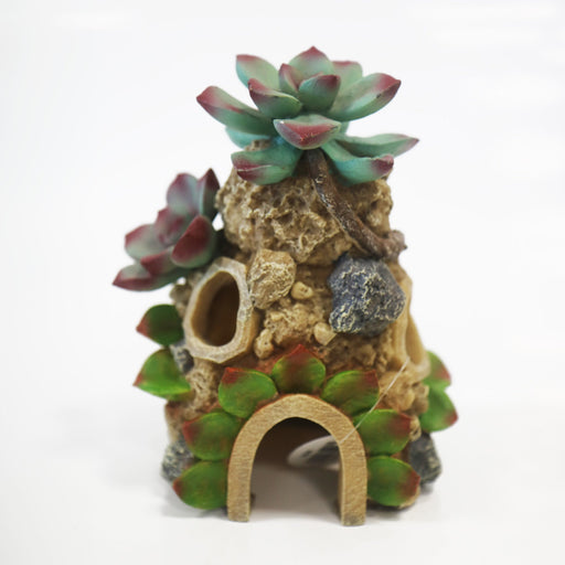 Betta Succulent House Aquarium Ornament – 14.5 × 11 × 17.5cm