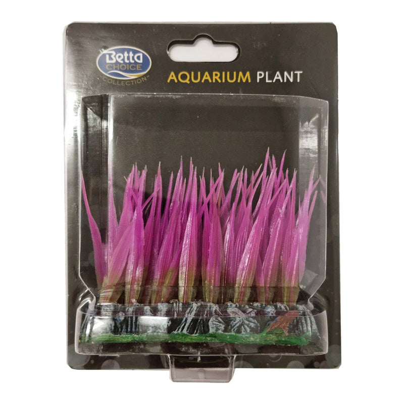 Betta Choice 6cm Foreground-Dwarf Pink Acorus