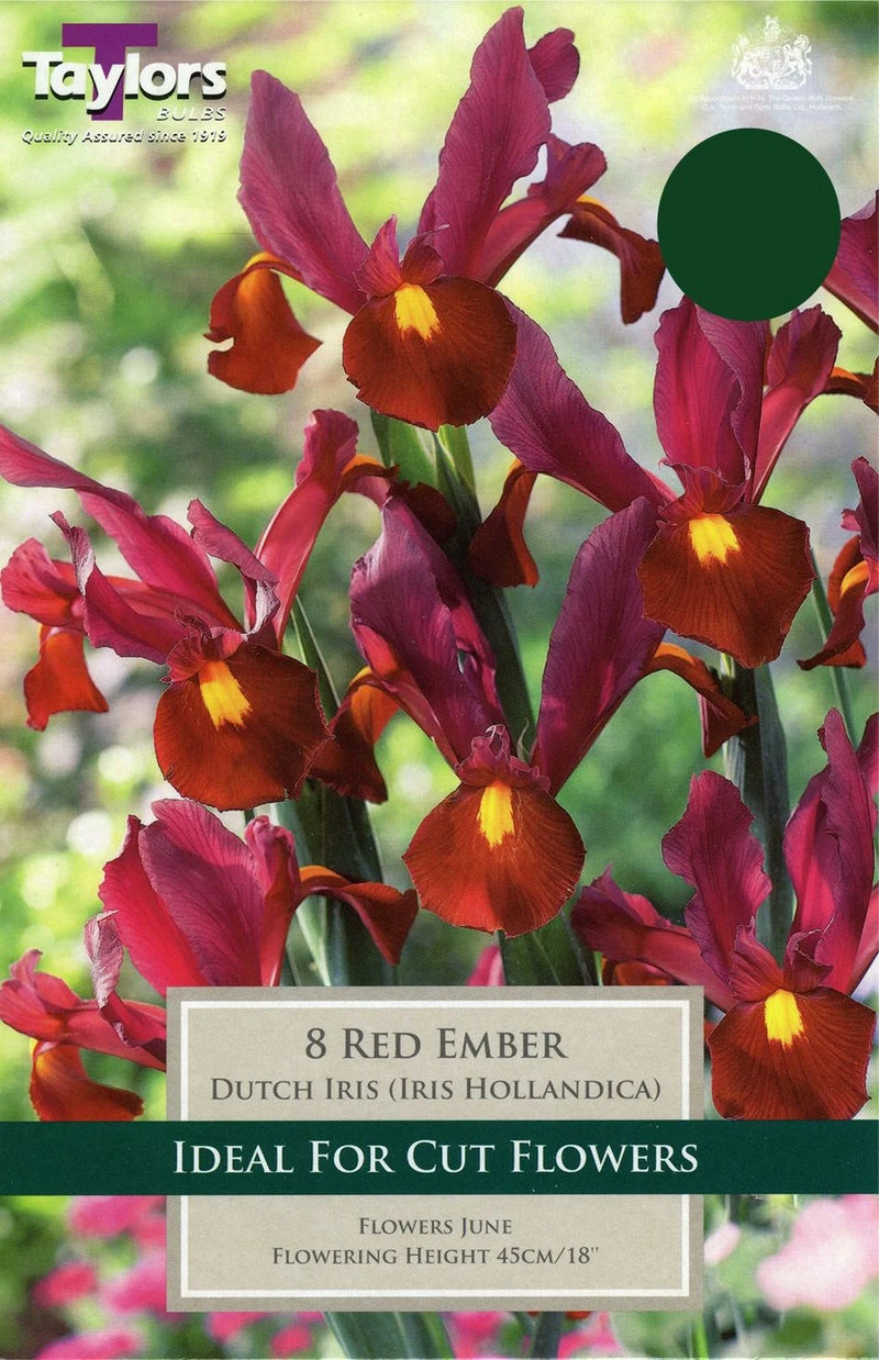 Iris Red Ember