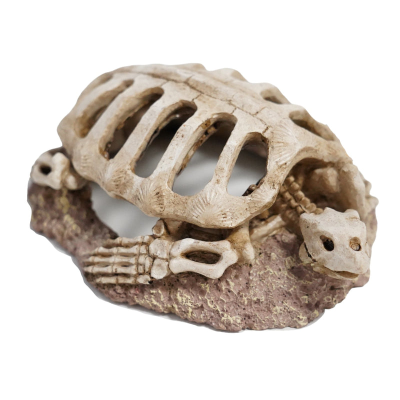 Betta Turtle Skeleton Aquarium Ornament – 17.5 × 13.5 × 6.5cm