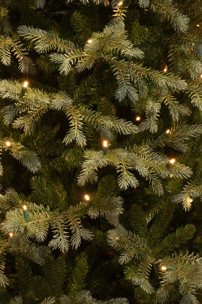 9 Foot Ardley Pre-Lit Artificial Christmas Tree with 900 Warm White Lights (Width 170cm)