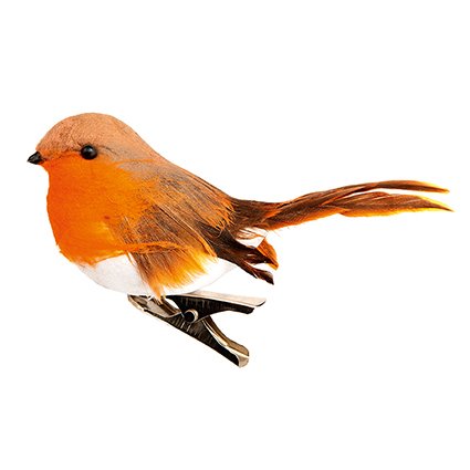 Robin On Clip