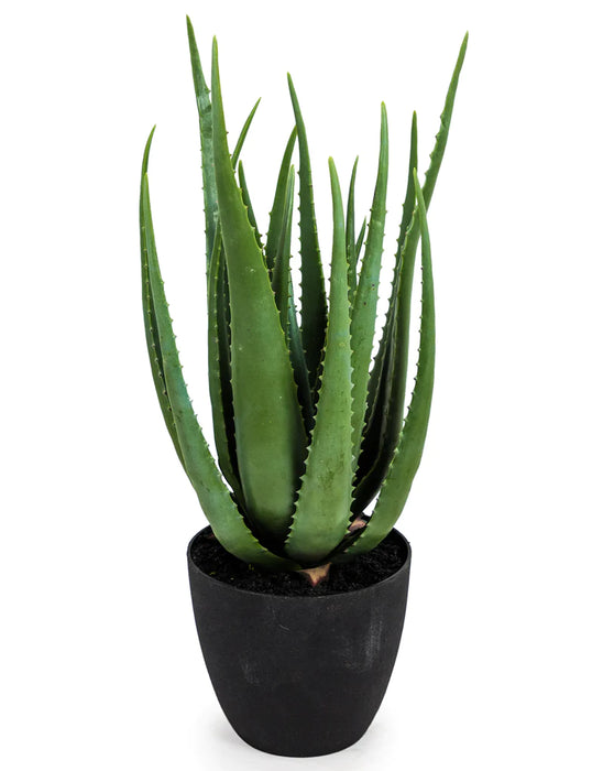 Artificial Aloe Vera in Pot (H33xD32cm)