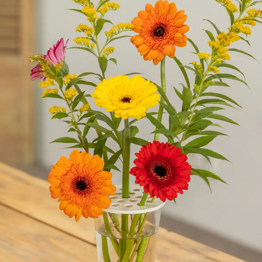 Esschert White Flower Arranging Disc – Medium