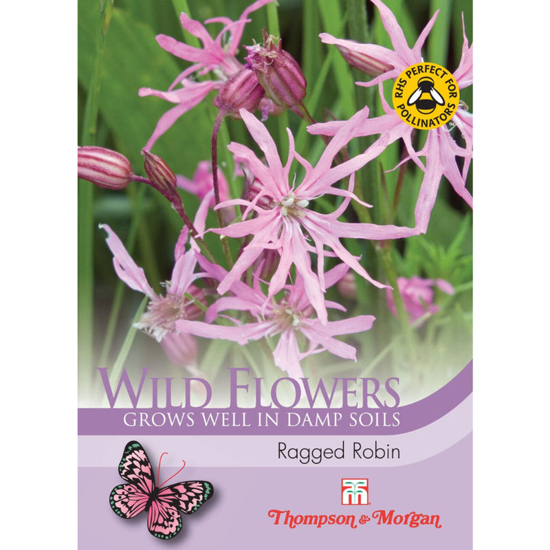 Wild Flower Ragged Robin