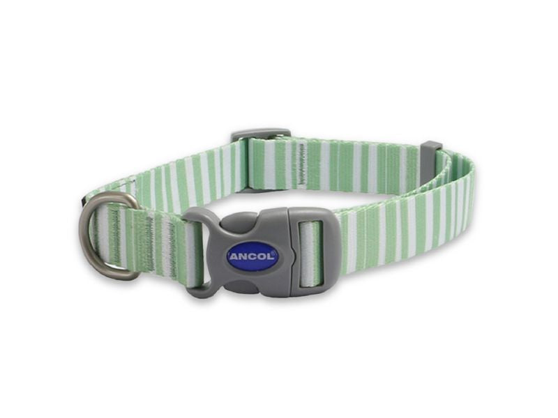 Soho Stripe Nylon Adjustable Dog Collar (Small 5-9)