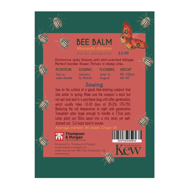 Bee Balm Kew Pollinators