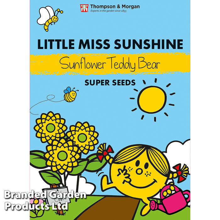Mr. Men™ Little Miss™ Sunflower 'Teddy Bear'