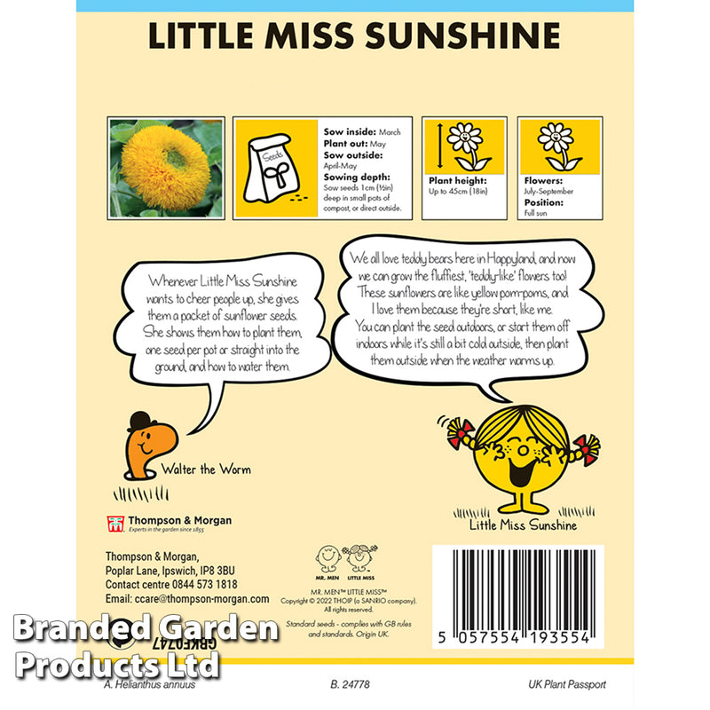 Mr. Men™ Little Miss™ Sunflower 'Teddy Bear'