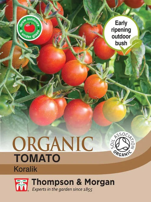 Organic Tomato 'Koralik'