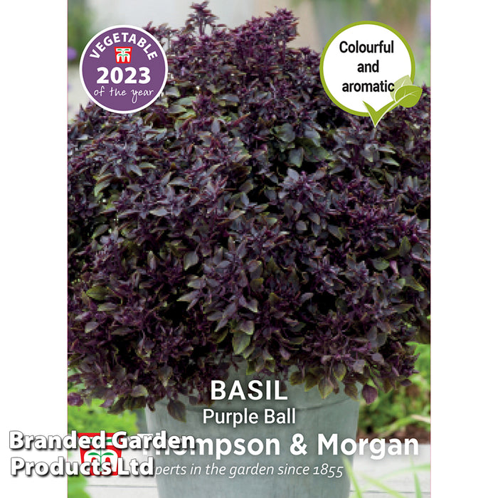 Basil 'Purple Ball'