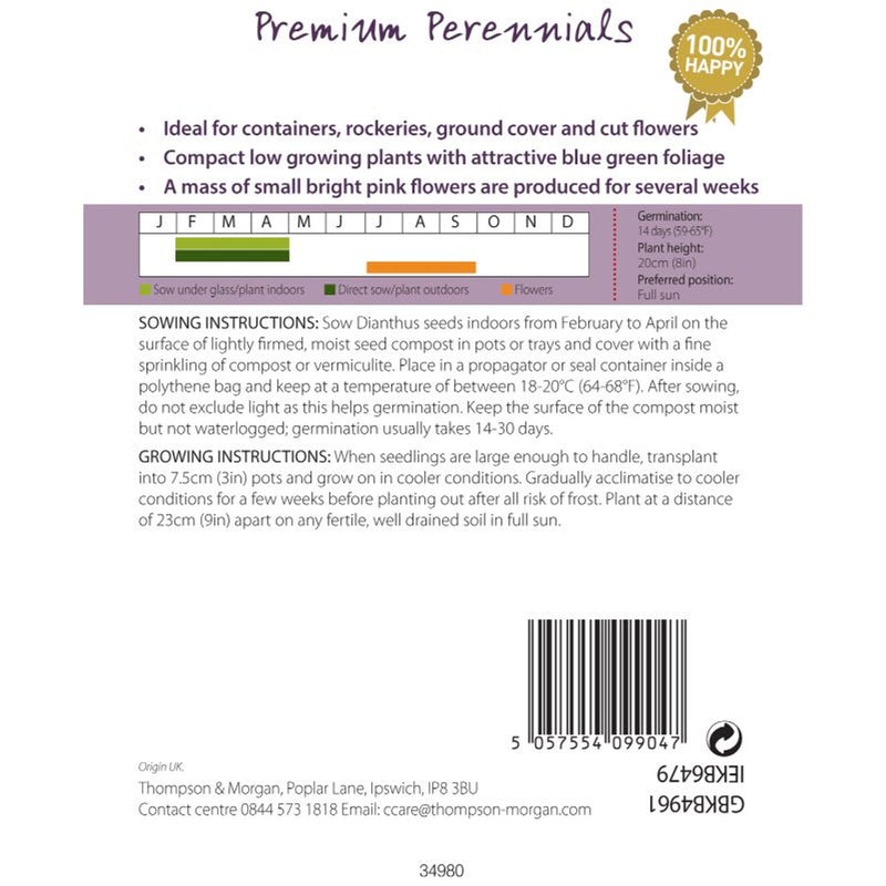 Dianthus Pink Gem