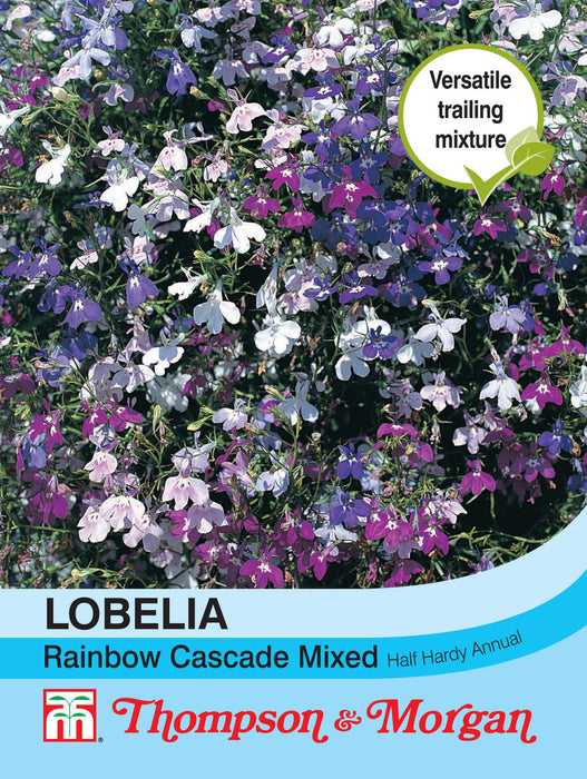 Lobelia (Trailing) Rainbow Cascade Mixed
