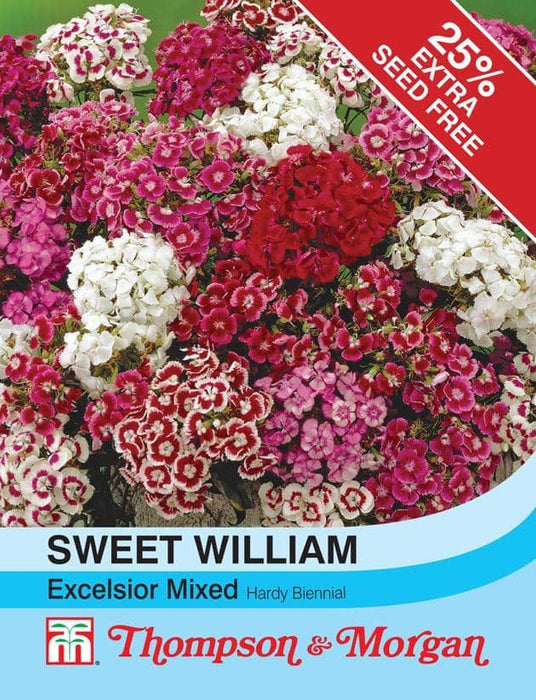 Sweet William Excelsior Mix