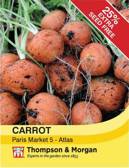 Carrot 'Paris Market - Atlas'