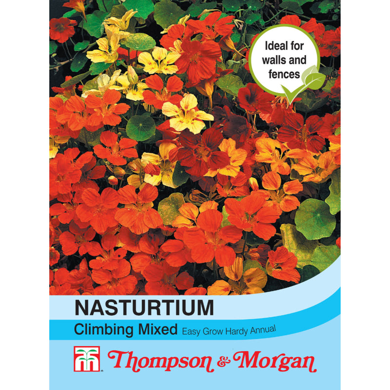 Nasturtium Climbing Mix