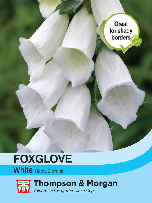 Foxglove White