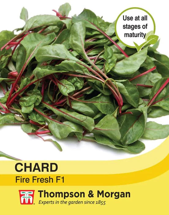 Swiss Chard 'Fire Fresh'
