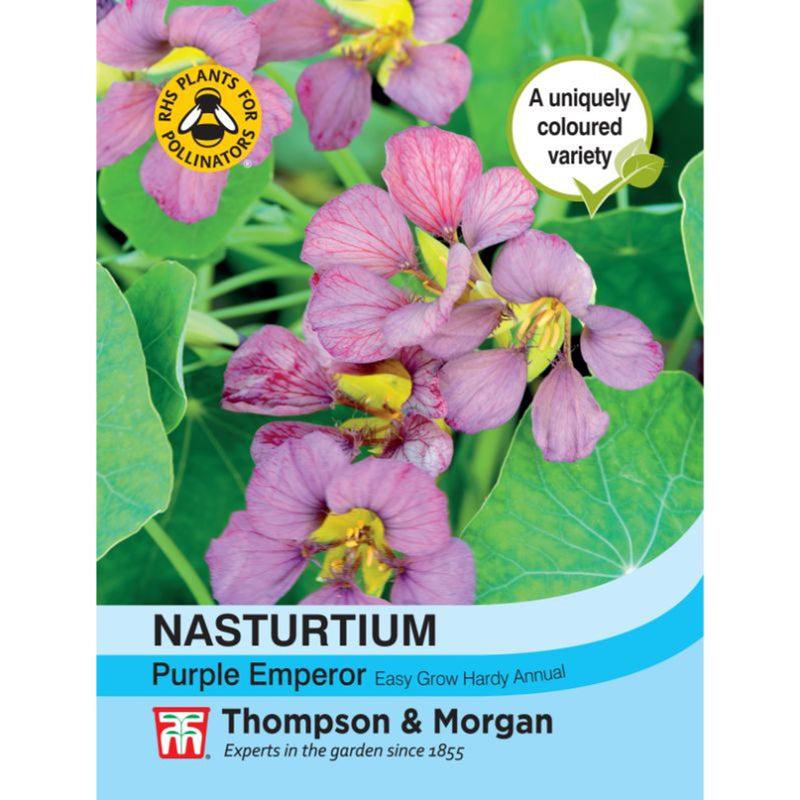 the emperor and the flower seeds Nasturtium Purple Emperor — Newlands Garden Centre