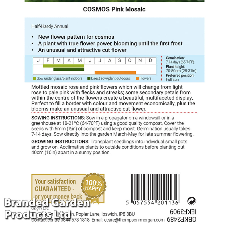 Cosmos 'Pink Mosaic'