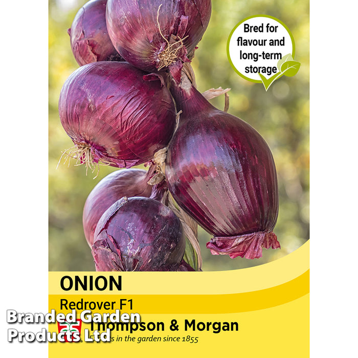 Onion 'Redrover' F1