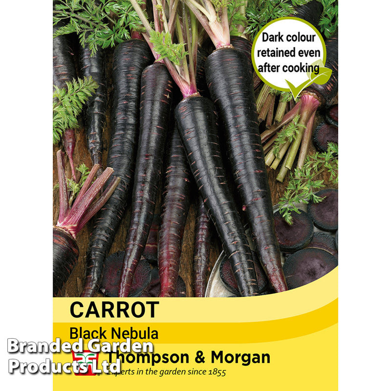 Carrot 'Black Nebula'