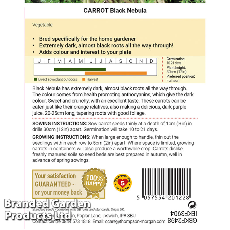 Carrot 'Black Nebula'