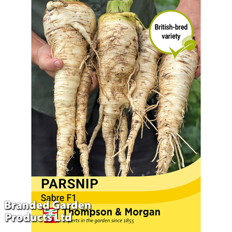 Parsnip 'Sabre'