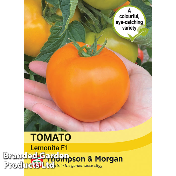 Tomato 'Lemonita' F1