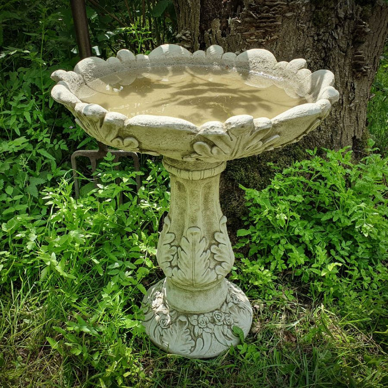 Acanthus Birdbath 57cm BA12