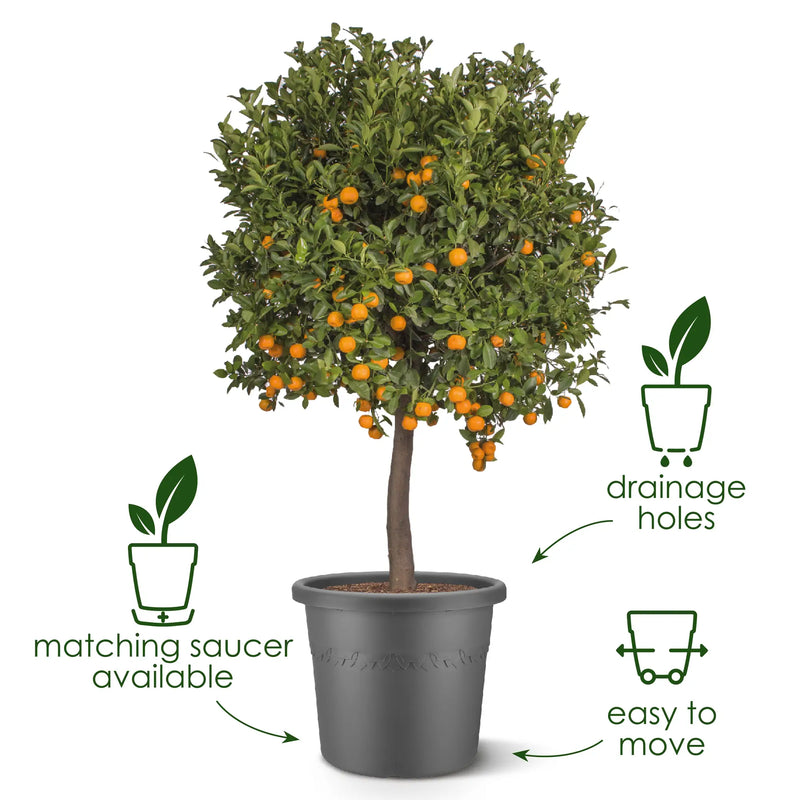 Algarve Cilindro 30cm Anthracite