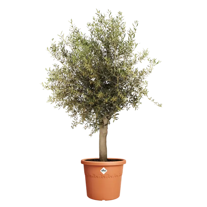 Algarve Cilindro 40cm Terracotta