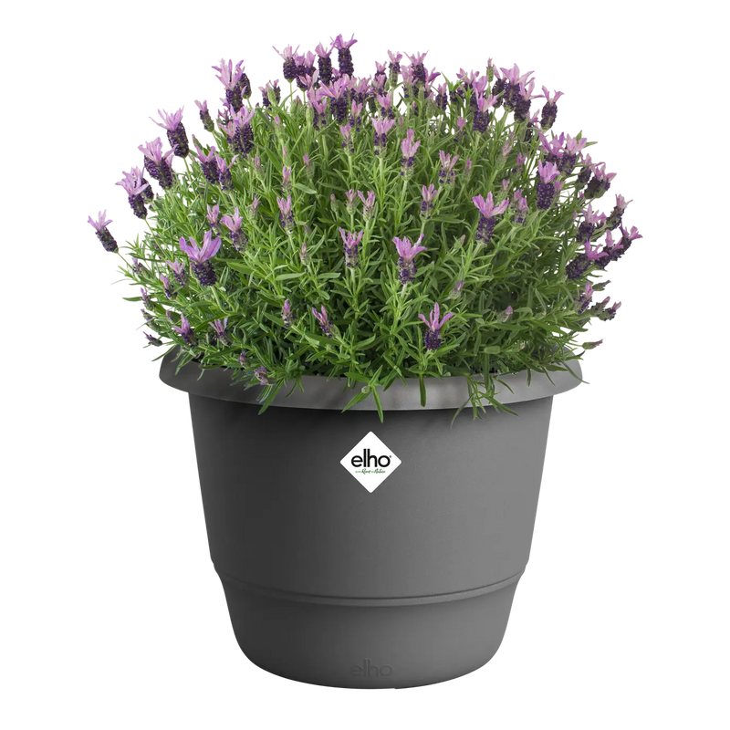 Amiga Round 35cm Anthracite