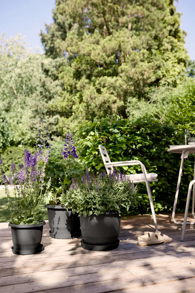 Amiga Round 25cm Anthracite