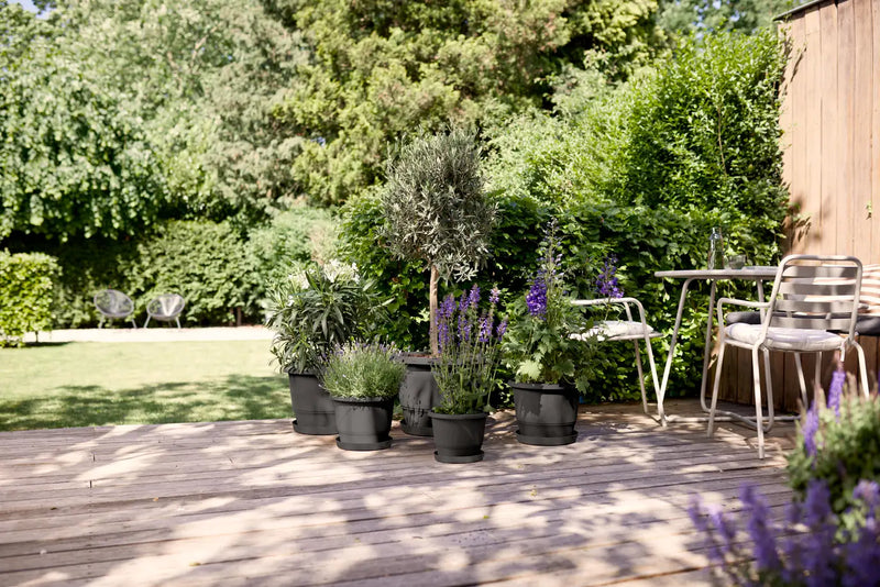 Amiga Round 25cm Anthracite