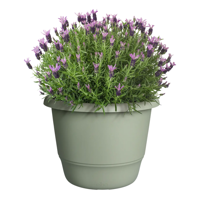 Amiga Round 25cm Thyme Green