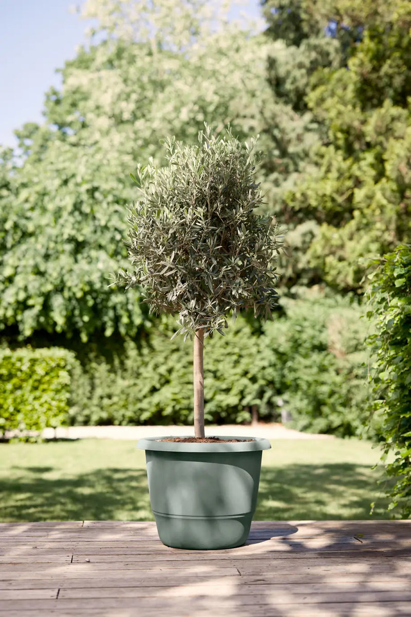 Amiga Round 40cm Thyme Green