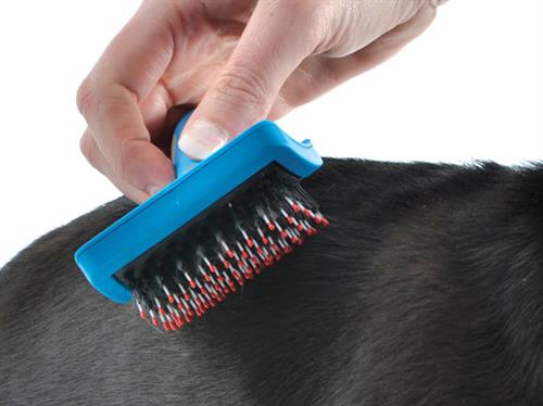 Ancol Ergo Hedgehog Slicker Small