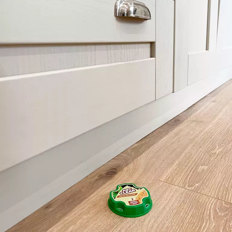 AntClear Organic Ant Control Bait Station