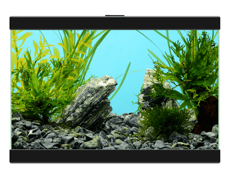 Ciano Aqua 15 Classic Black With Filter (13 Litre)