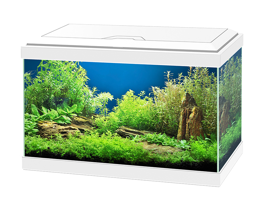 Ciano Aqua 20 LED White With Lights & Filter 17 Litre