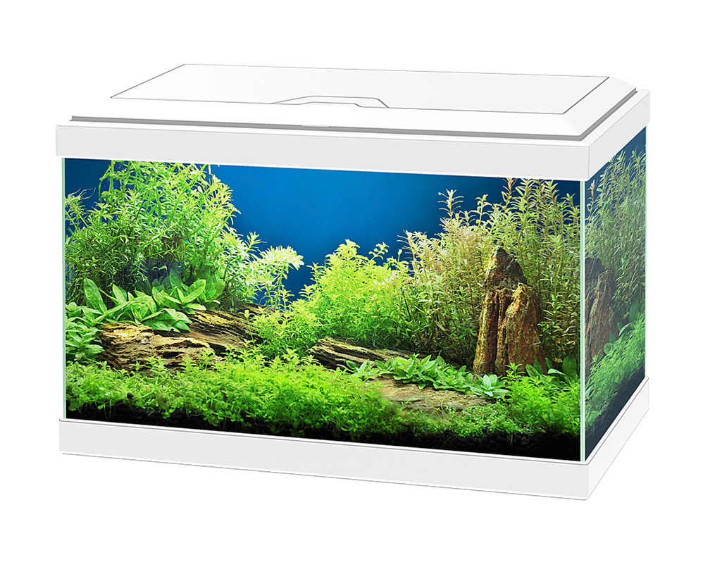 Buy Aquariums Online - Aqua 20 Aquario Frente White1000x800 3 998x800 Buy Aquariums Online - Aqua 20 Aquario Frente White1000x800 3 998x800