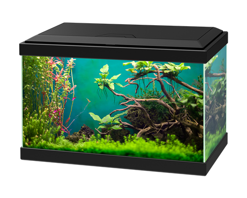 Ciano Aqua 20 Classic Black With Filter (17 Litre)