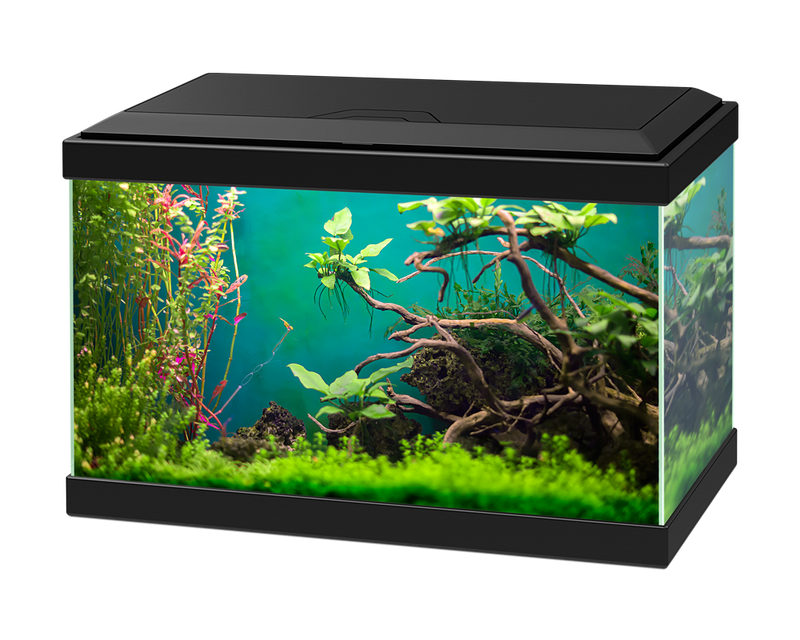 Ciano Aqua 20 Classic Black With Filter (17 Litre)